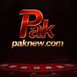 Paknew Game logo