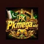 PKMega Game logo