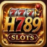H789 Game logo